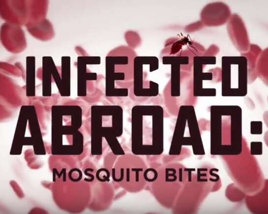 Infected Abroad: Mosquito Bites